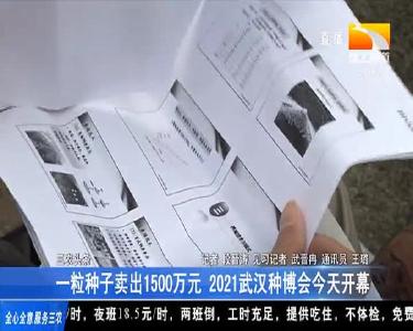 一粒种子卖出1500万元 2021武汉种博会今天开幕