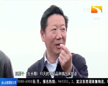 双季双直播种粮新技术 助力浠水春耕