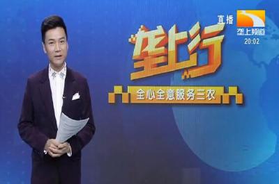 垄上行 2021-05-21