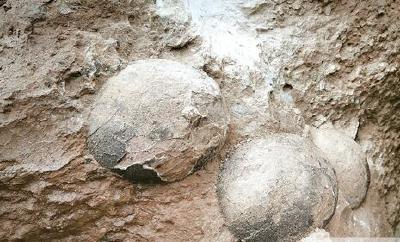 郧阳又发现一恐龙蛋化石点 或为新的属种