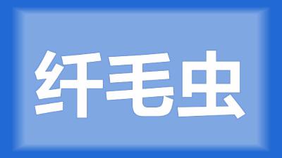 仙桃市杨大姐：虾子身上有纤毛虫，怎么治疗？