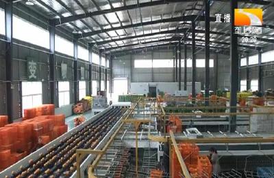 从田间到车间 宜昌全面提升柑橘品质