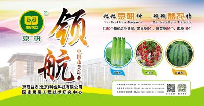 2021武汉种业博览会种企推介：京研益农（北京）种业科技有限公司