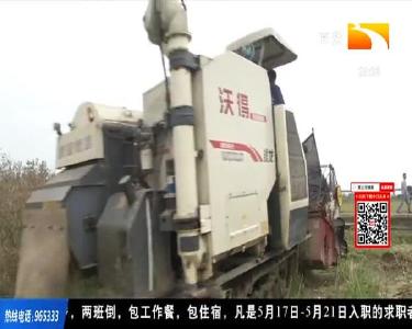 “白+黑”不停歇 咸宁百万亩油菜抢收超九成