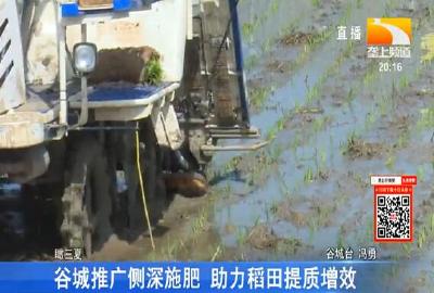谷城推广侧深施肥 助力稻田提质增效