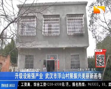 升级设施强产业 武汉市浮山村展振兴美丽新画卷