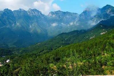 大别山发现植物新物种“英山韭”