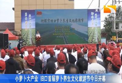 小萝卜大产业 旧口首届萝卜养生文化旅游节今日开幕