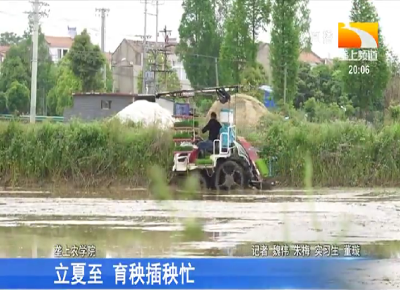 立夏至 育秧插秧忙