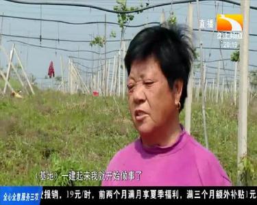引能人兴产业 昔日“空壳村”如今美丽家园