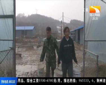 养鹅夫妻档 致富有门道