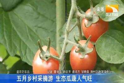 五月乡村采摘游 生态瓜蔬人气旺