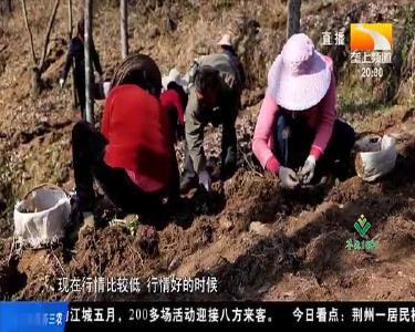 《中华人民共和国乡村振兴促进法》通过 将于6月1日起施行