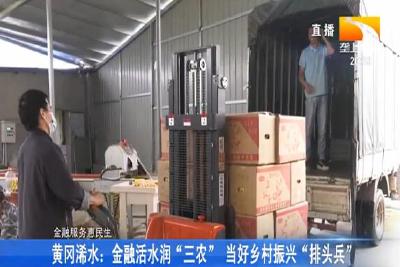 黄冈浠水:金融活水润“三农” 当好乡村振兴“排头兵”