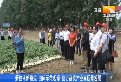 新技术新模式 田间示范观摩 助力蔬菜产业高质量发展