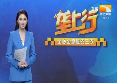 垄上行 2021-05-29