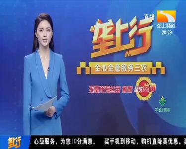 政府拿出80万元真金白银 给乡亲选好致富路