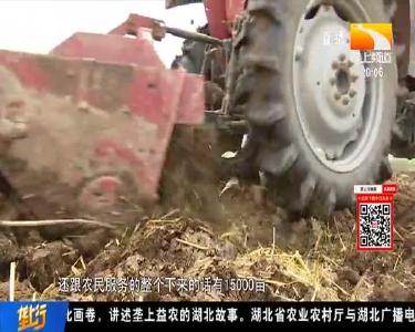 与时间赛跑 黄冈黄州4万多亩夏粮全程机械化抢收