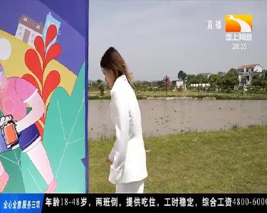 90后女孩当“谷主” 小村庄变身网红新地标