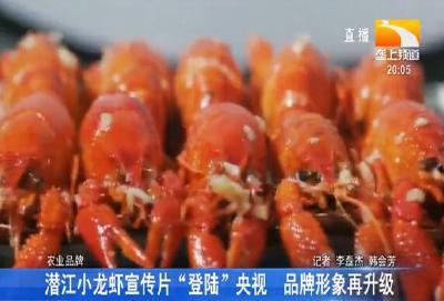 潜江小龙虾宣传片 “登陆”央视 品牌形象再升级