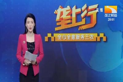 垄上行 2021-05-03