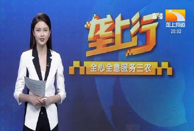 垄上行 2021-05-19