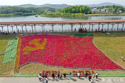 最美乡村现巨幅鲜花党旗 成五一热门红色打卡地