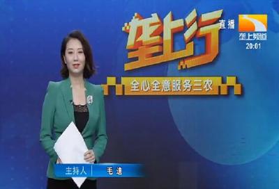 垄上行 2021-06-06