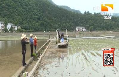 按方施肥 十堰郧西百万亩土地收益高