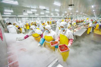 潜江壮大虾稻产业链 综合产值达五百二十亿元
