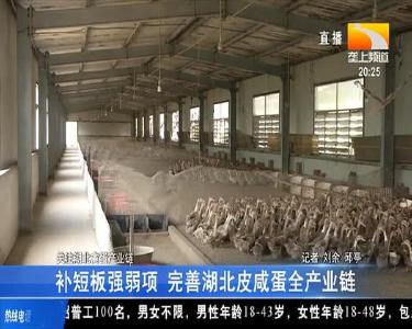 补短板强弱项 完善湖北皮咸蛋全产业链