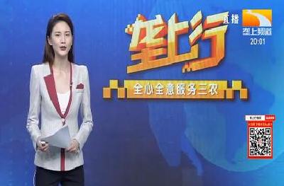 垄上行 2021-06-14