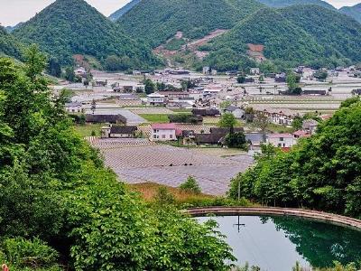 高山之巅：种“草”换得山乡美