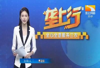 垄上行 2021-06-13