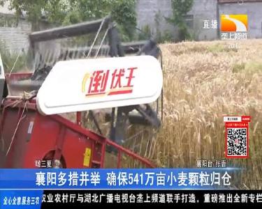 襄阳多措并举 确保541万亩小麦颗粒归仓