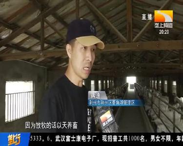 “金点子”扭转困境 带动乡亲发羊财奔小康