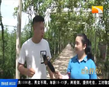 全年鲜果不断档 天门小伙返乡打造高人气四季果园