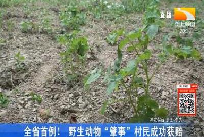 全省首例！ 野生动物“肇事”村民成功获赔