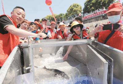 首个长江公益放流站在汉成立 2万余尾中华鲟等珍稀鱼类回家
