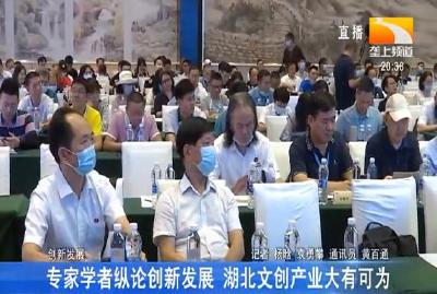 专家学者纵论创新发展 湖北文创产业大有可为