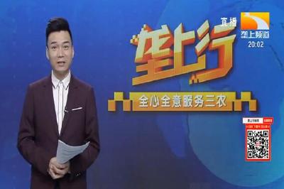 垄上行 2021-06-05