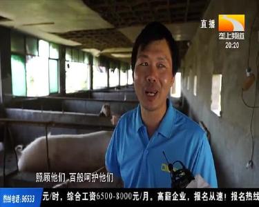 猪倌当村官 和乡亲一起创富6000万