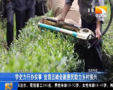 学史力行办实事 宜昌五峰金融惠民助力乡村振兴