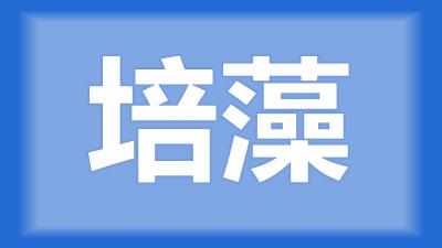 枝江市卢师傅：鱼塘倒藻，藻类大量死亡，该怎样培藻调水？ 