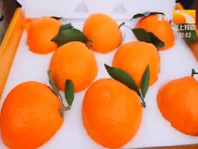 湖北召开柑橘产业链推进会 以龙头企业引领柑橘产业高质量发展