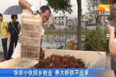 华农小伙回乡创业 养大虾供不应求