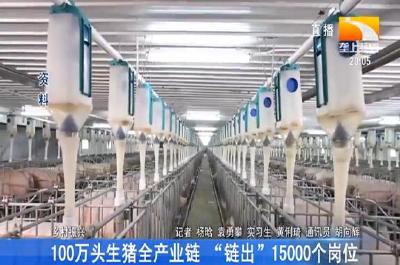 100万头生猪全产业链 “链出”15000个岗位