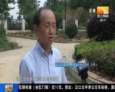 摆脱污水臭气 养猪场边竖起别样“观景台”