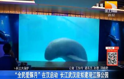 "全民爱豚月”在汉启动 长江武汉段拟建观江豚公园