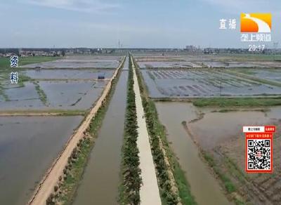 虾稻连作模式运行二十年 “开沟养虾” 亟待优化升级